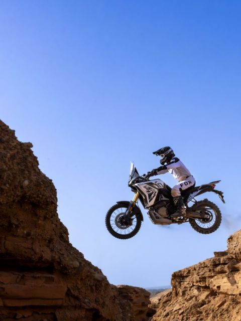 VOGE 800 RALLY