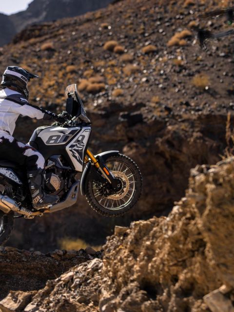 VOGE 800 RALLY