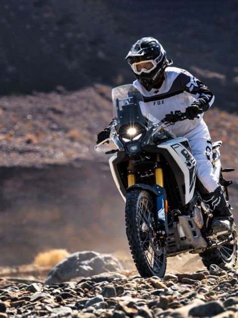 VOGE 800 RALLY