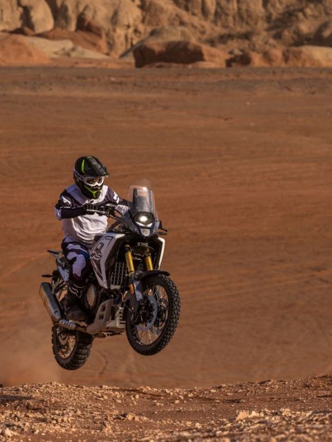 VOGE 800 RALLY