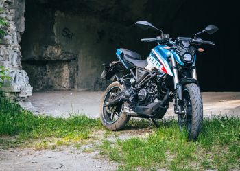 Mateusz Szczepanik (8)